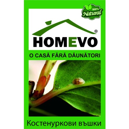 100% натурален препарат срещу Щитоносни (Костенуркови) въшки Homevo paduchi testosi