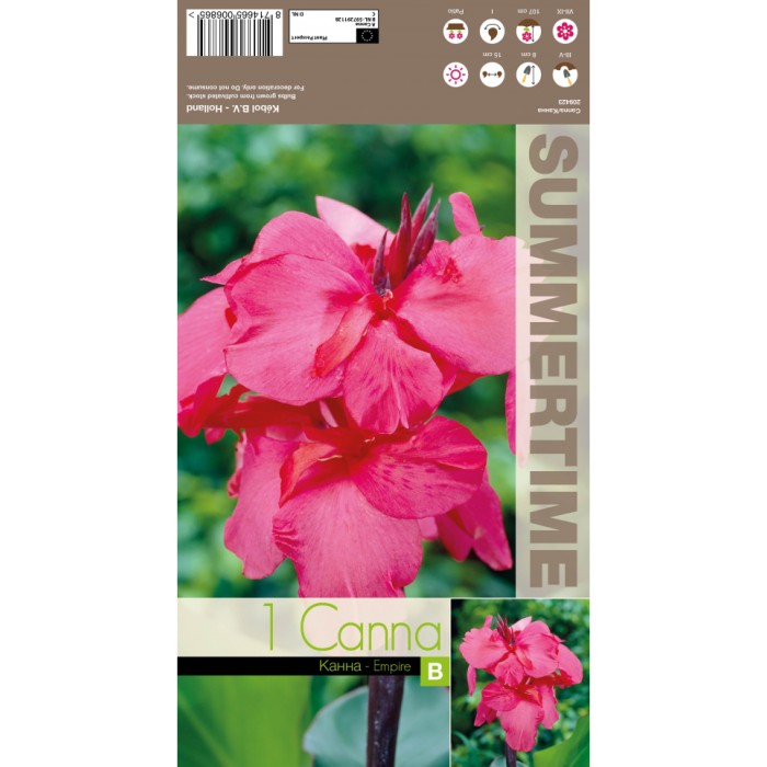 Индийска Кана Емпайър Canna Indica - 1 бр луковица