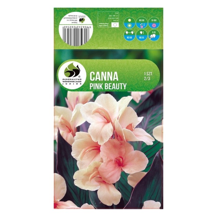 Кана Пинк Бюти Canna - 1 бр луковица