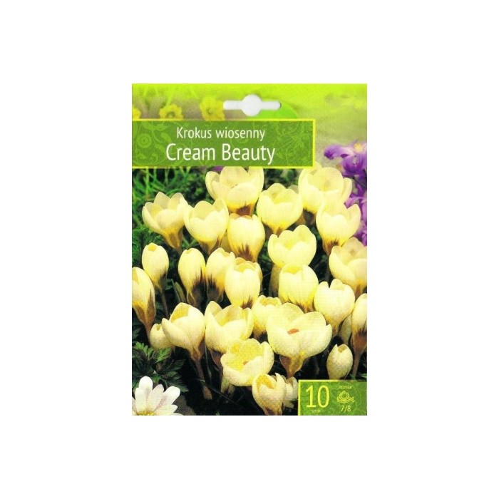 Минзухар Крем Бюти Crocus Cream Beauty - 10 бр луковици