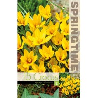 Минзухар Королков Crocus Korolkowii - 15 бр луковици