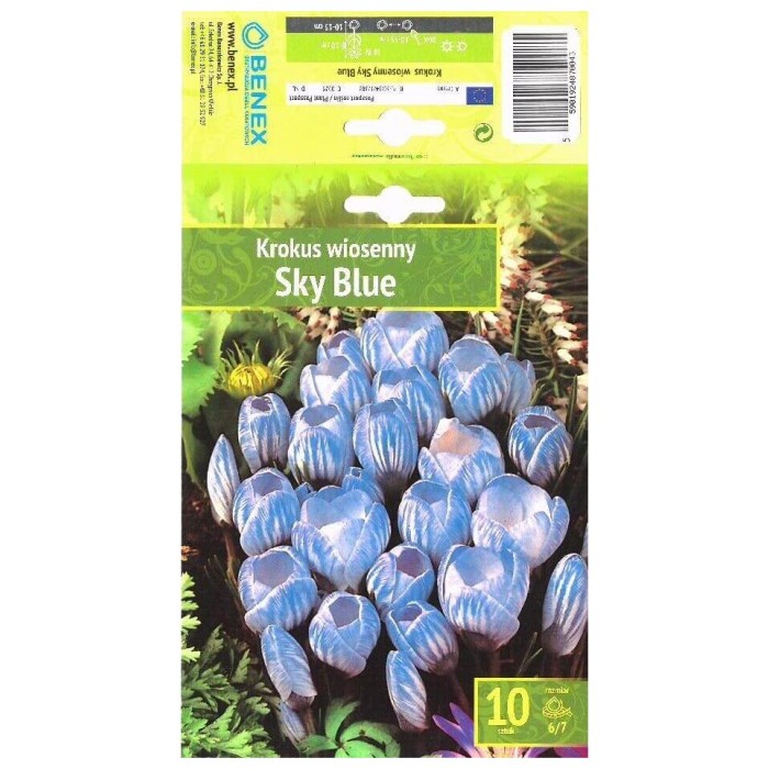 Минзухар Небесно син Crocus Sky Blue - 10 бр луковици
