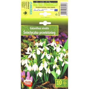 Кокиче Galanthus nivalis - 10 бр луковици