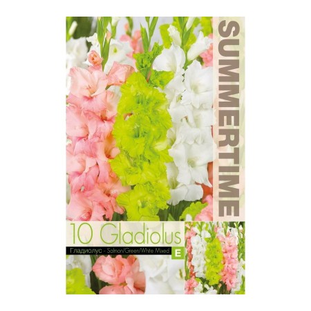 Гладиоли Микс Сьомга-Зелена-Бяла Gladiolus L - 10 бр луковици