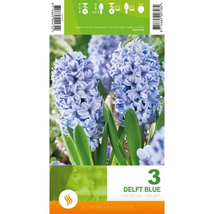 Зюмбюл Делфт Син Hyacinthus Delft Blue - 3 бр луковици
