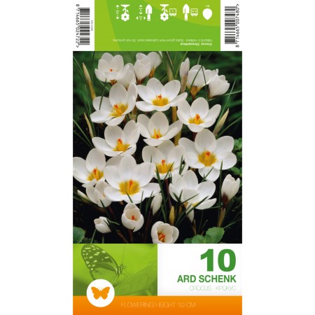 Минзухар АРД Шенк Crocus ARD Schenk - 10 бр луковици