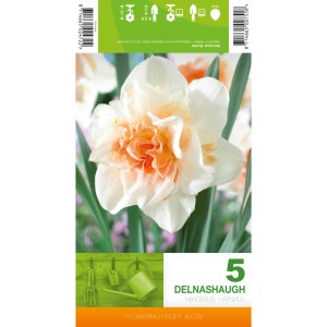 Нарцис Делнашоу Narcissus Delnashaugh - 5 бр луковици