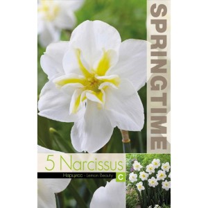 Нарцис Лимонена красота Narcissus Lemon Beauty - 5 бр луковици