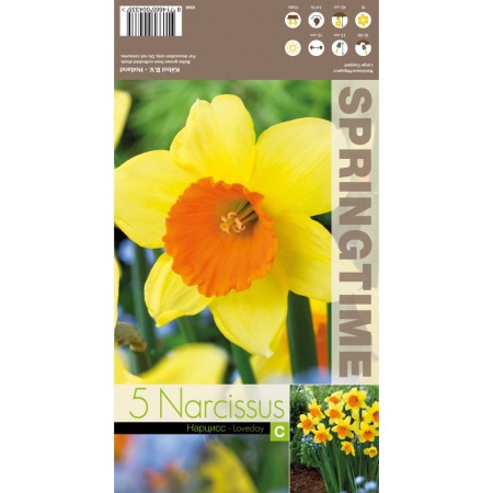 Нарцис Лавдей Narcissus Loveday - 5 бр луковици