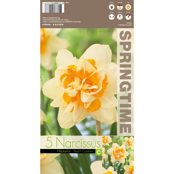 Нарцис Пийч Коблър Narcissus Peach Cobbler - 5 бр луковици