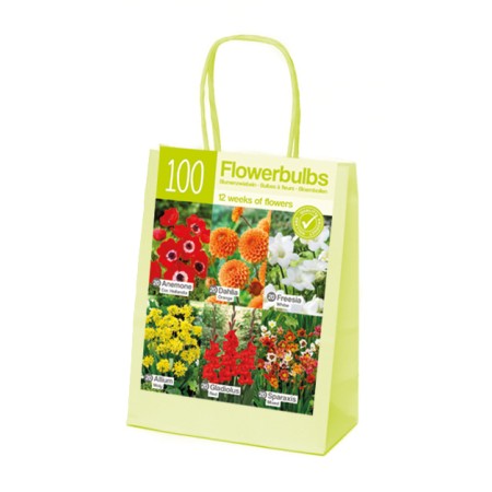 Чанта Оранжево-Червено-Бяло Микс XL Orange-red-white - 100 бр луковици