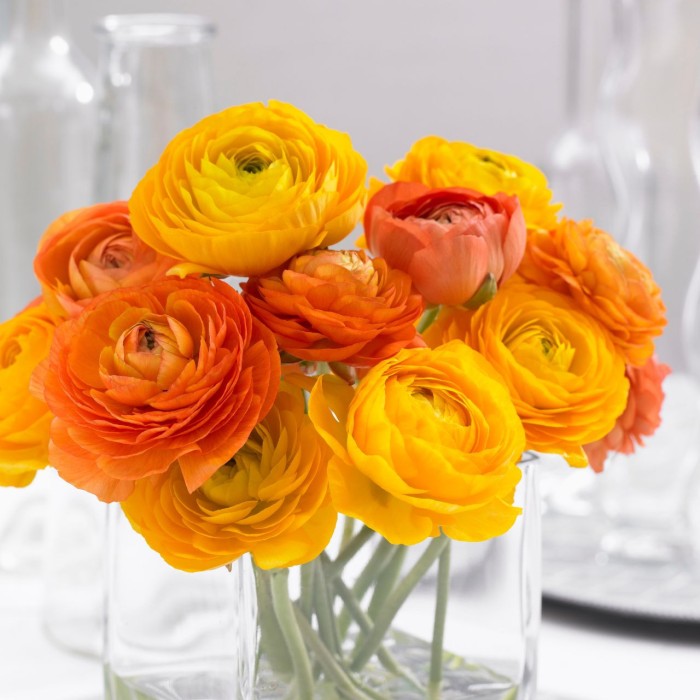 Лютиче Оранжево Ranunculus Orange - 10 бр луковици