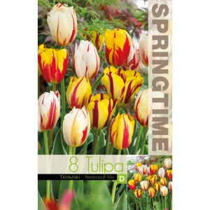 Лале Микс Рембранд Tulipa Rembrandt Mix - 8 бр луковици