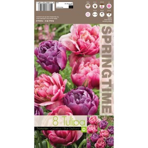 Лале Микс Колумб Син диаманд Tulipa MIX Columbus Blue Diamond - 8 бр луковици