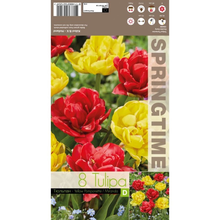 Лале Микс Жълт Помпон Миранда Tulipa MIX Yellow Pomponette Miranda - 8 бр луковици