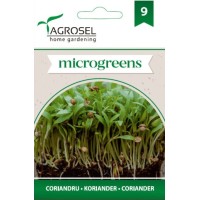 Семена за Микро Кориандър (Coriandrum sativum) - 4 гр