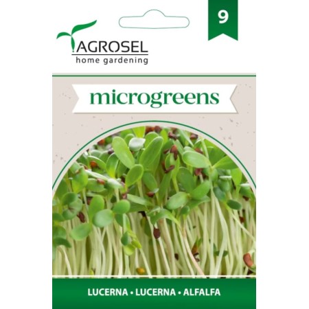 Семена за Микро Люцерна (Medicago sativa) - 5 гр