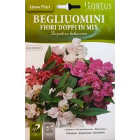 Импатиенс двоен Микс Impatiens balsamina