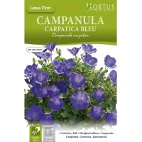 Кампанула Синя  Campanula Carpatica