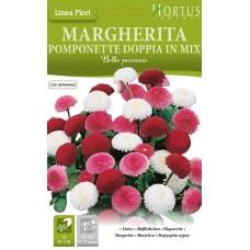 Парички Двойни Помпони Микс Bellis perennis