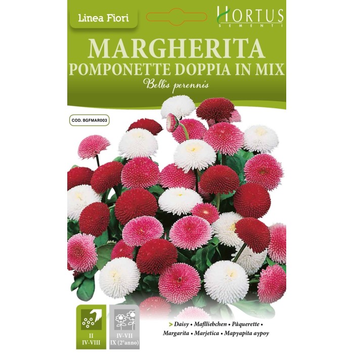 Парички Двойни Помпони Микс Bellis perennis