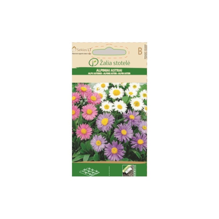 Астри Алпийски Микс Aster alpinus L