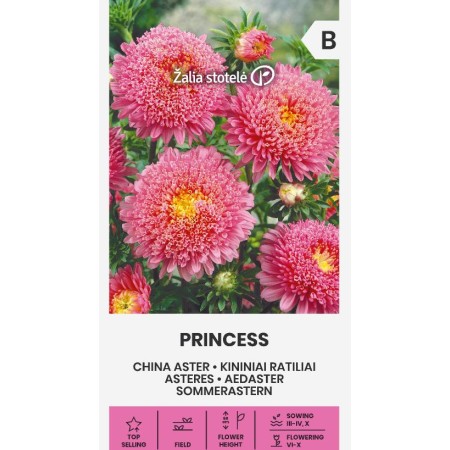 Астри Розова Принцеса Callistephus chinensis L Ness Princess