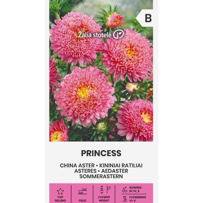 Астри Розова Принцеса Callistephus chinensis L Ness Princess