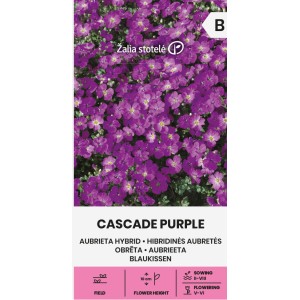 Аубриета Лилава Каскадна Aubrieta hybrida