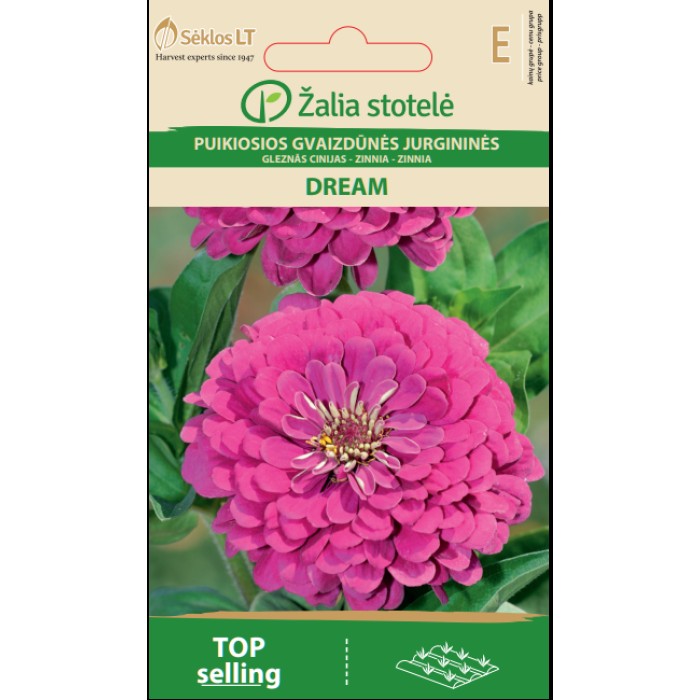 Циния Лилава Dream Zinnia elegans dahlienflora