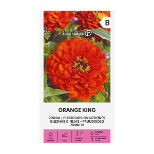 Циния оранжева Orange King Zinnia elegans dahlienflora
