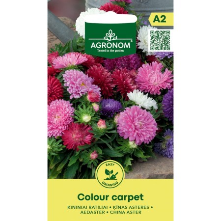 Астри Мини Микс Цветен Килим Callistephus chinensis L Ness Colour Carpet