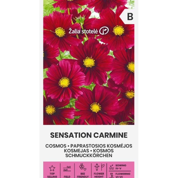 Космос Червен Cosmos Sensation Carmine