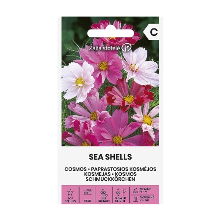 Космос Микс Морски миди Sea shells mix