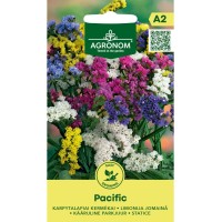 Лимониум Пасифик Limonium sinuatum Pacific