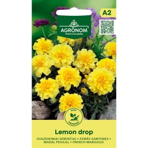 Тагетес Лимонена капка Tagetes patula Lemon Drop