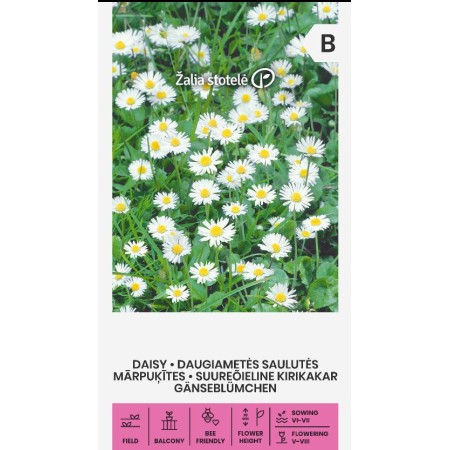 Парички Бели Bellis perennis