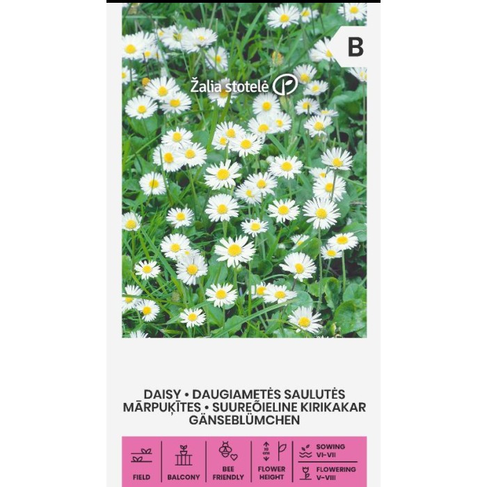 Парички Бели Bellis perennis