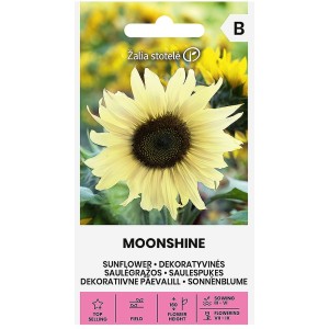 Декоративeн слънчоглед Лунен блясък Moonshine