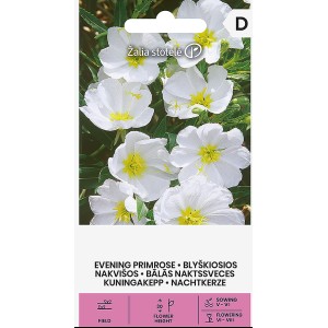 Вечерна Бяла Иглика Oenothera pallida