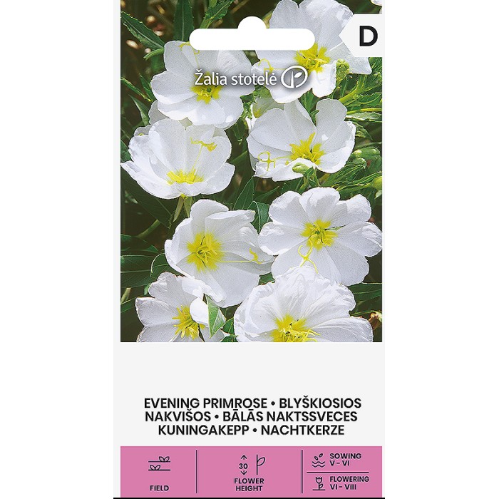 Вечерна Бяла Иглика Oenothera pallida