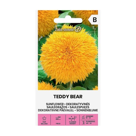 Хелиантус Теди Беър Helianthus annuus Teddy bear