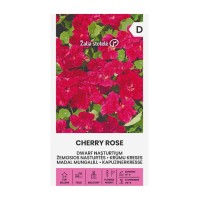 Латинка (ниска) Cherry Rose