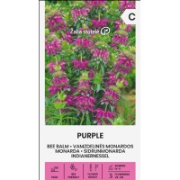 Монарда Лилава (ПЧЕЛЕН БАЛСАМ) Monarda fistulosa
