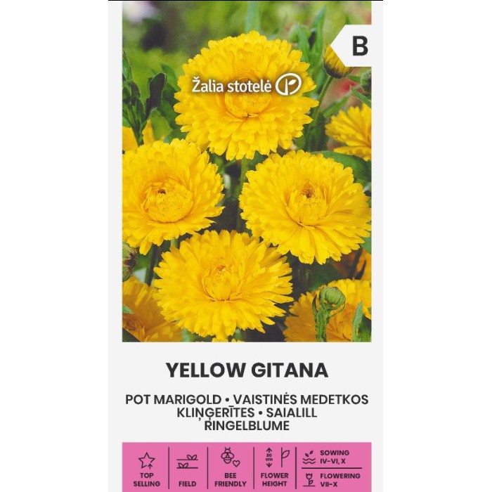 Невен Жълт Гитана Calendula officinalis