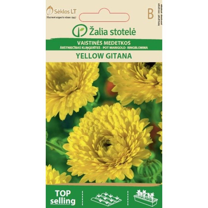 Невен Жълт Гитана Calendula officinalis
