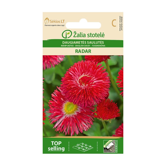Парички червени - Radar Bellis perennis