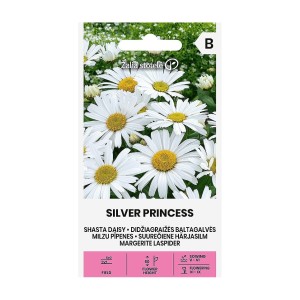 Голяма Маргаритка Сребърна принцеса Leucanthemum maximum