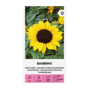 Декоративен слънчоглед Бамбино Helianthus annuus Bambino
