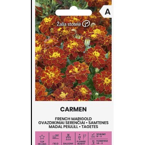 Тагетес Кармен Tagetes patula Carmen